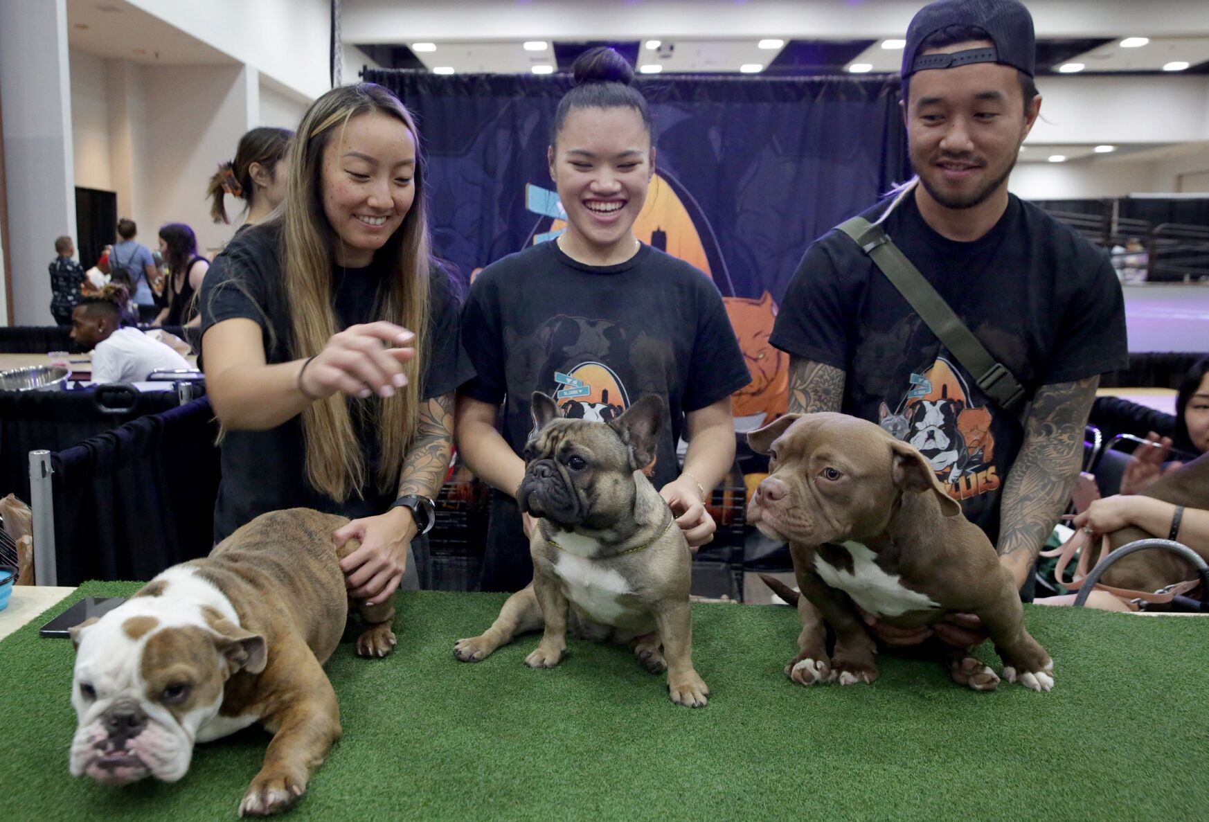 Show Me Bullz Dog Show